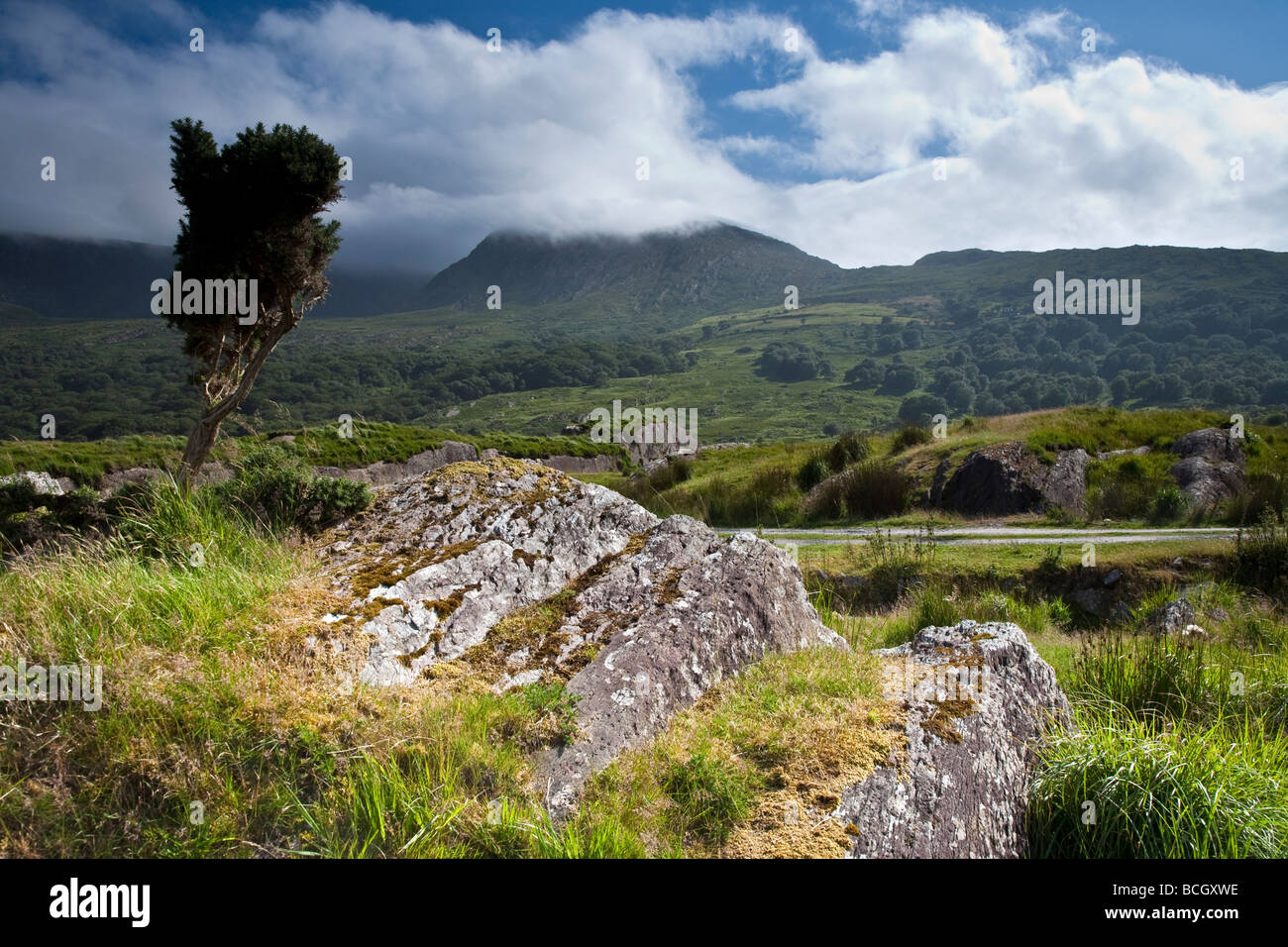 Vicino Cloonee Loughs vicino a Kenmare County Kerry sud ovest Irlanda Foto Stock
