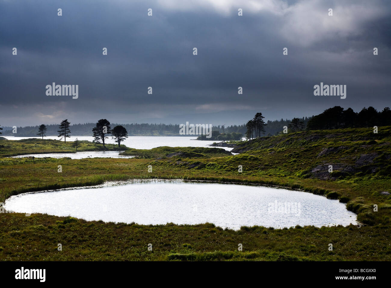 Cloonee Loughs vicino a Kenmare County Kerry sud ovest Irlanda Foto Stock