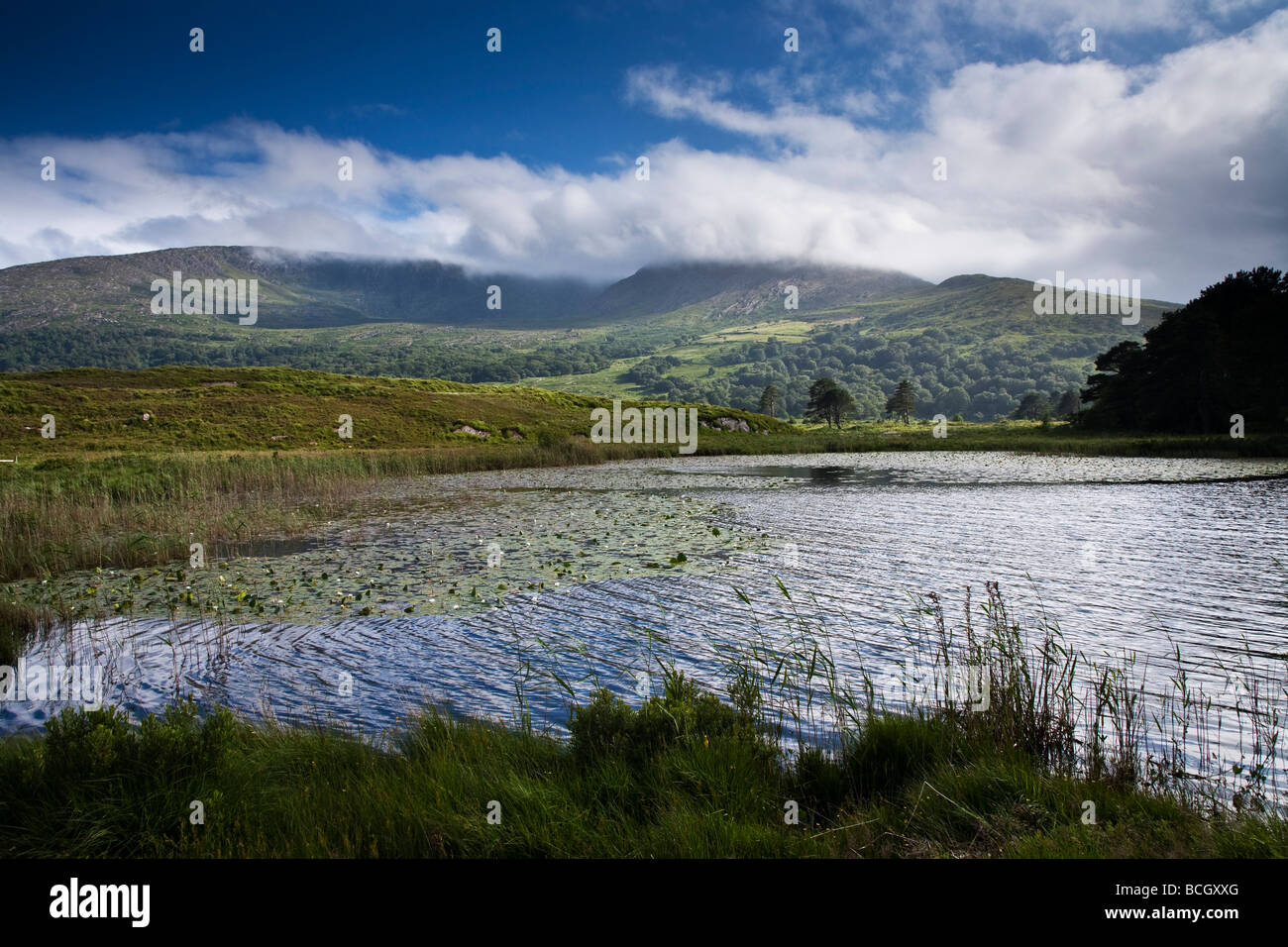Cloonee Loughs vicino a Kenmare County Kerry sud ovest Irlanda Foto Stock