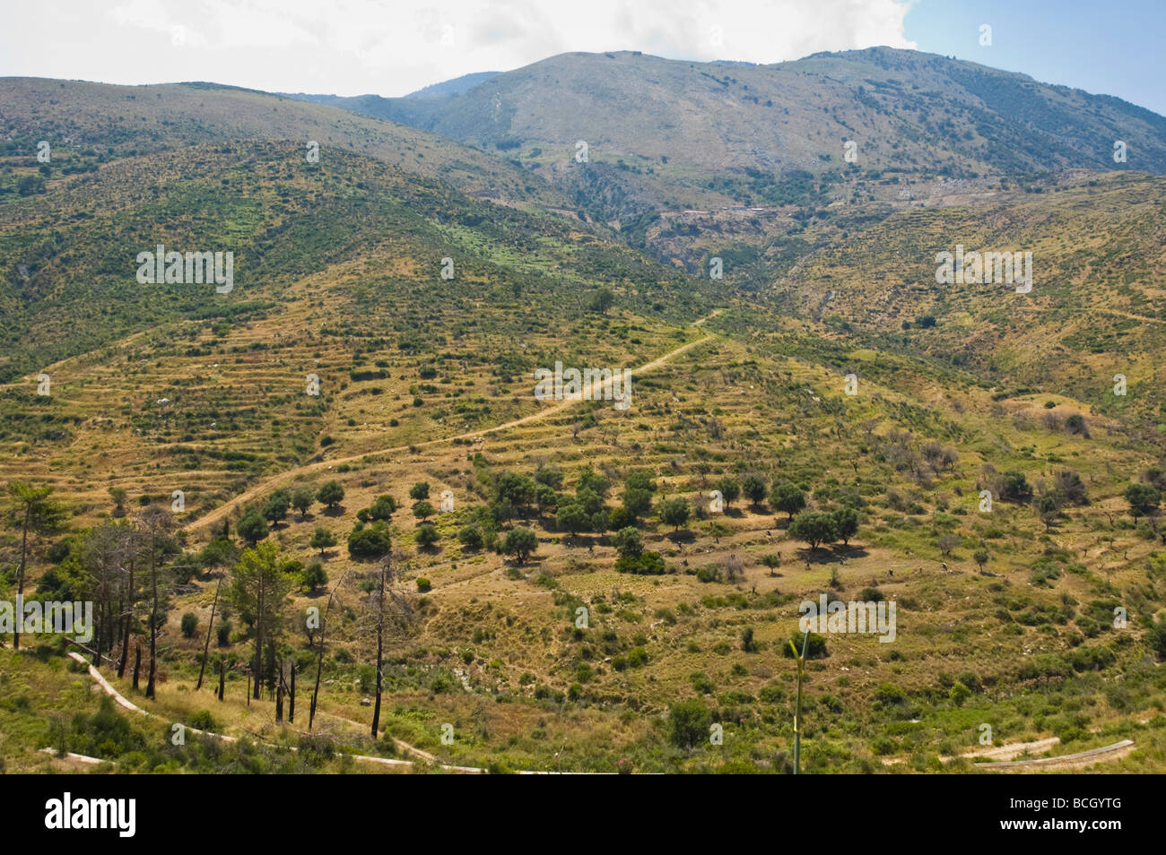 In aperta campagna guardando verso le montagne vicino a Tzanata vicino a Poros sull'isola greca di Cefalonia Grecia GR Foto Stock