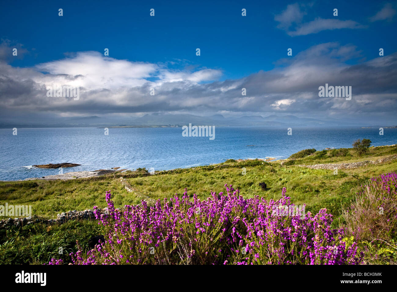 Affacciato sulla Kenmare estuario del fiume da thr penisola di Beara Contea di Kerry Irlanda Foto Stock