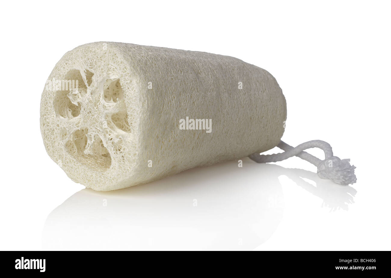 luffa Foto Stock