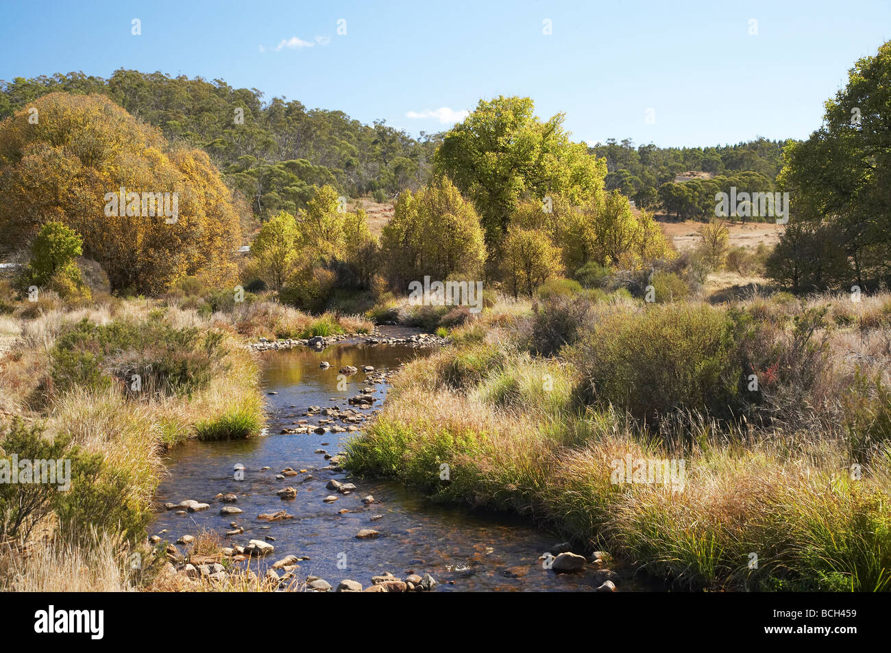 Fiume Yarrangobilly Sito del villaggio Yarrangobilly montagne innevate autostrada Kosciuszko Parco Nazionale montagne innevate Australia Foto Stock