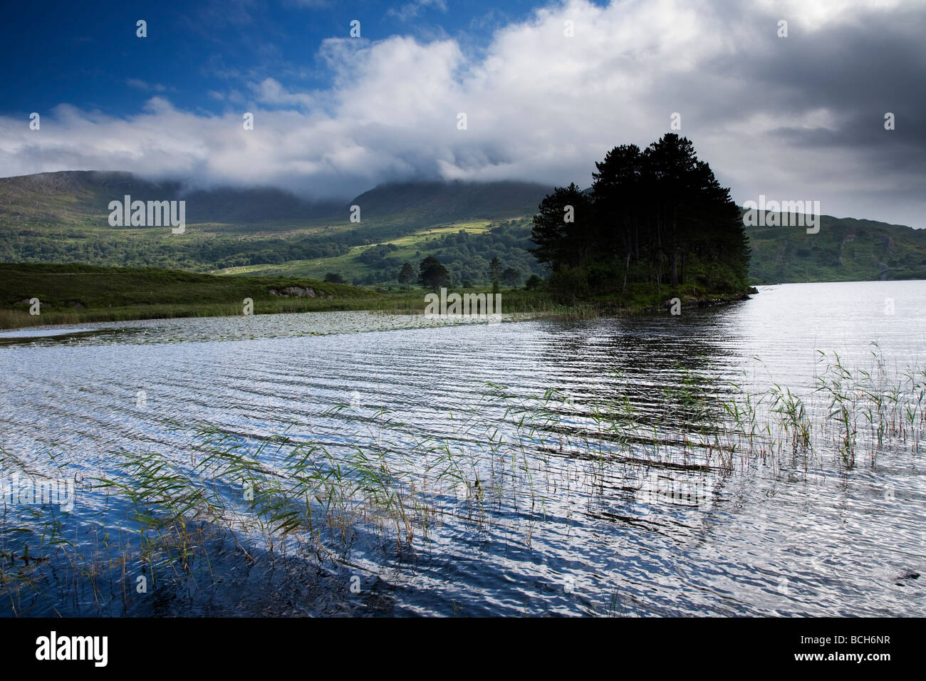 Cloonee Loughs vicino a Kenmare County Kerry sud ovest Irlanda Foto Stock