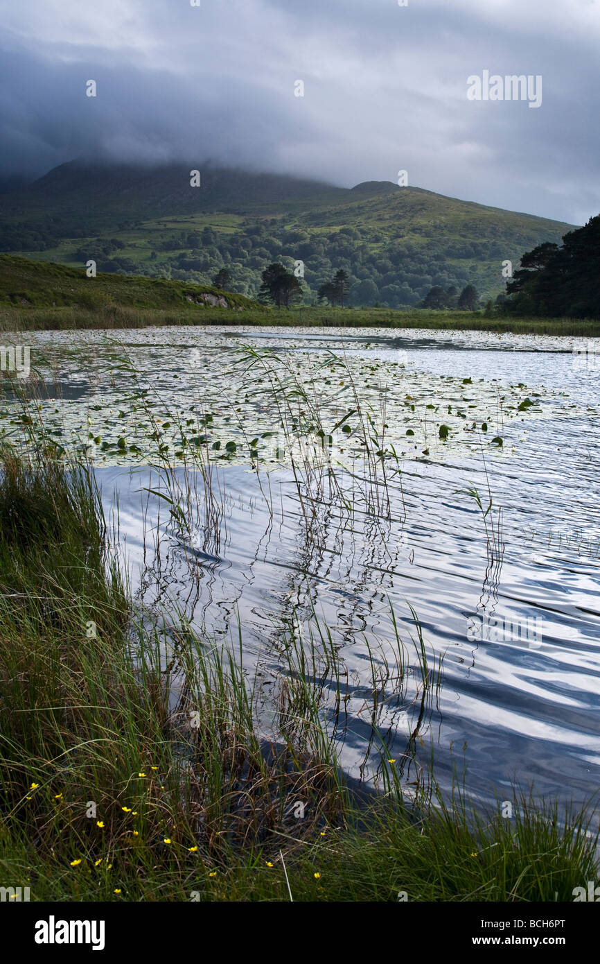 Cloonee Loughs vicino a Kenmare County Kerry sud ovest Irlanda Foto Stock