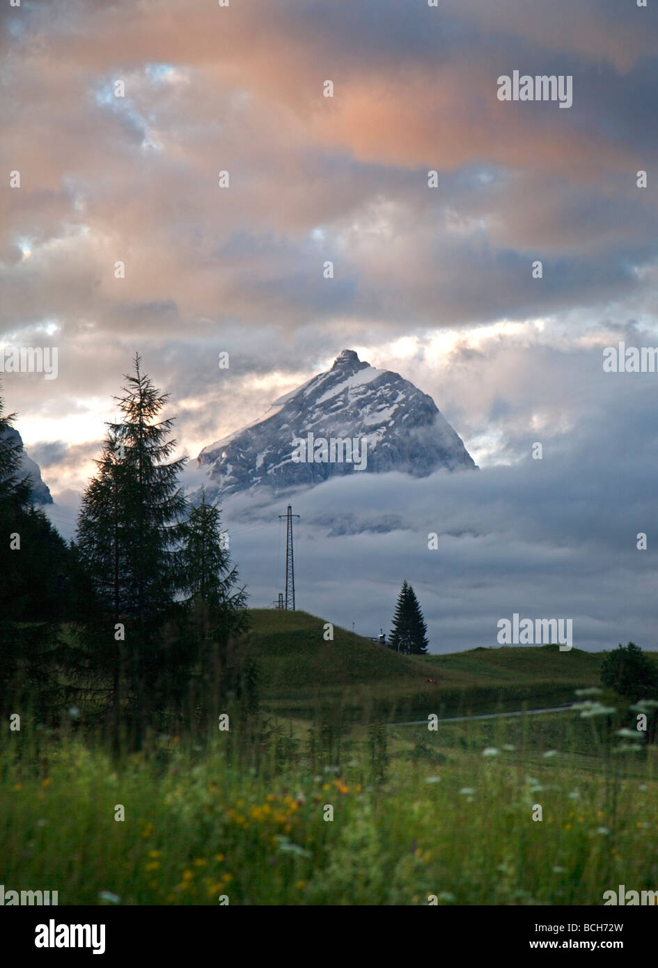 Il monte Antelao da Cortina d'Ampezzo, Dolomiti, Italia Foto Stock