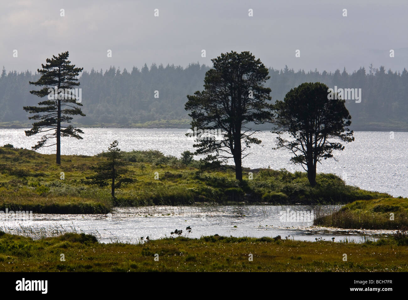 Cloonee Loughs vicino a Kenmare County Kerry sud ovest Irlanda Foto Stock