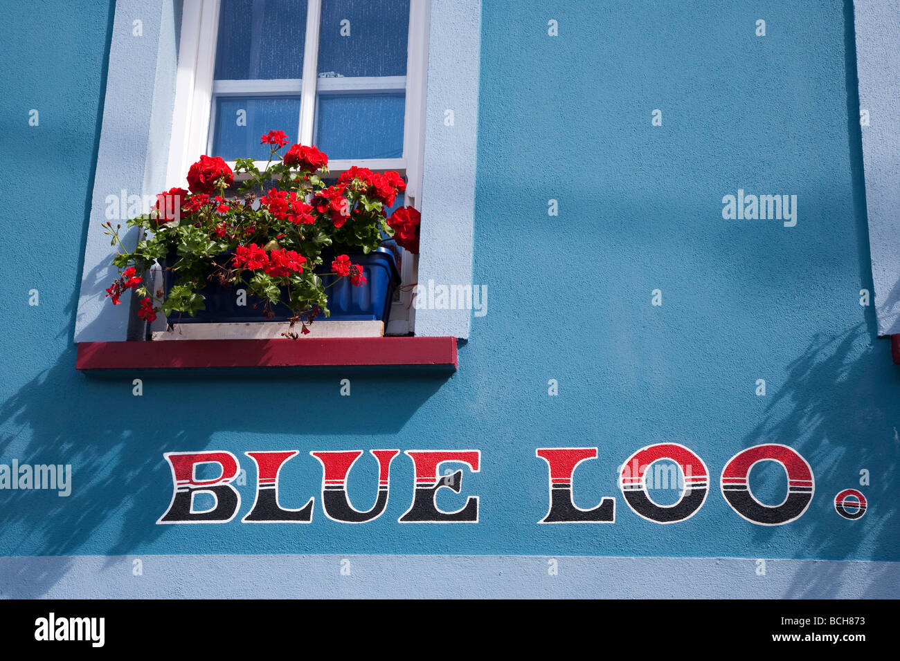 Colorato negozio di fronte Dingle Contea di Kerry Irlanda Foto Stock