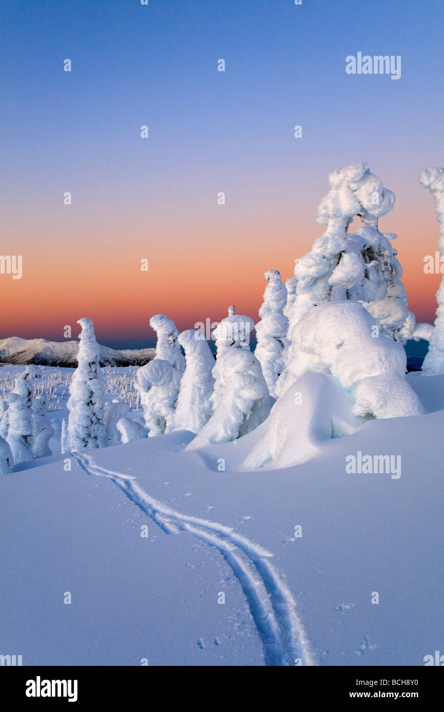Scenic sunrise in inverno con piste da sci in primo piano Wrangell Isola a sudest di Alaska Foto Stock