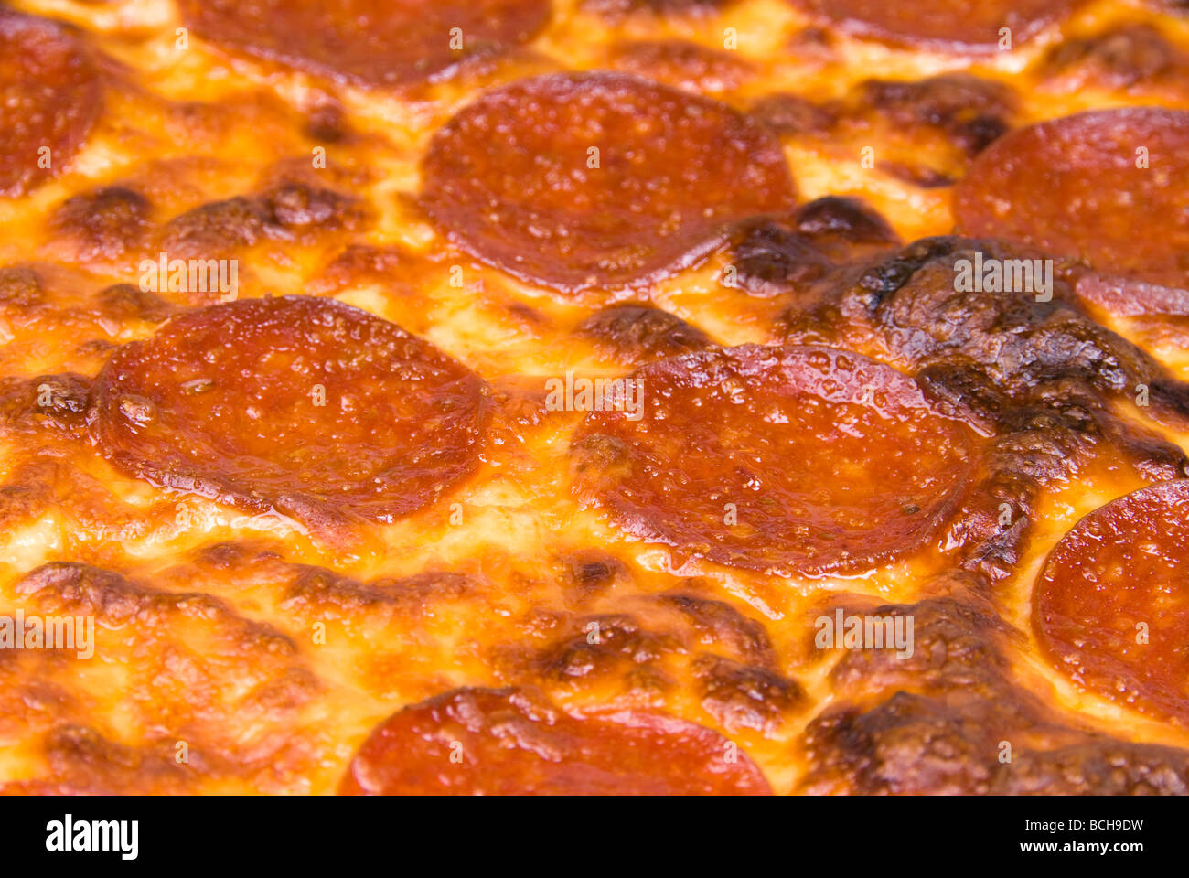 Una chiusura di una salsiccia per pizza pizza con mozzarella e cheddar cheese Foto Stock