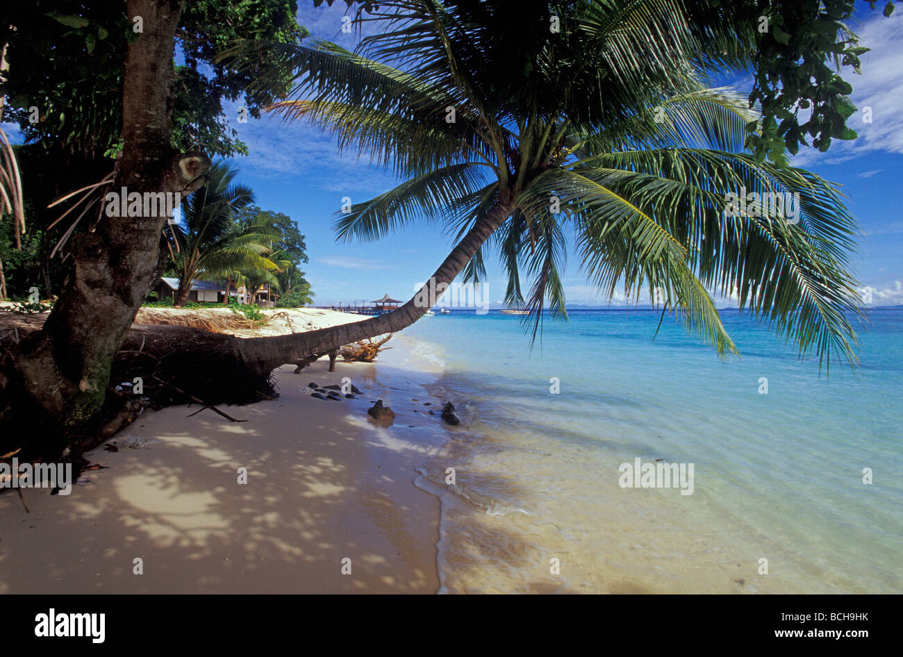 Sulla spiaggia di Sipadan Island Sabah Borneo Malese Foto Stock