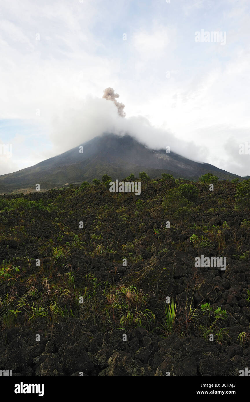 Vulcano attivo Arenal America Centrale Costa Rica Foto Stock