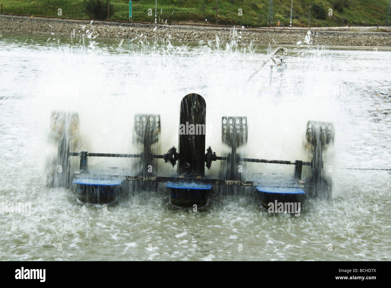 Israele Beit Shean Valley Kibbutz Maoz Haim agitatori della pesca l'acqua per ossidare Foto Stock