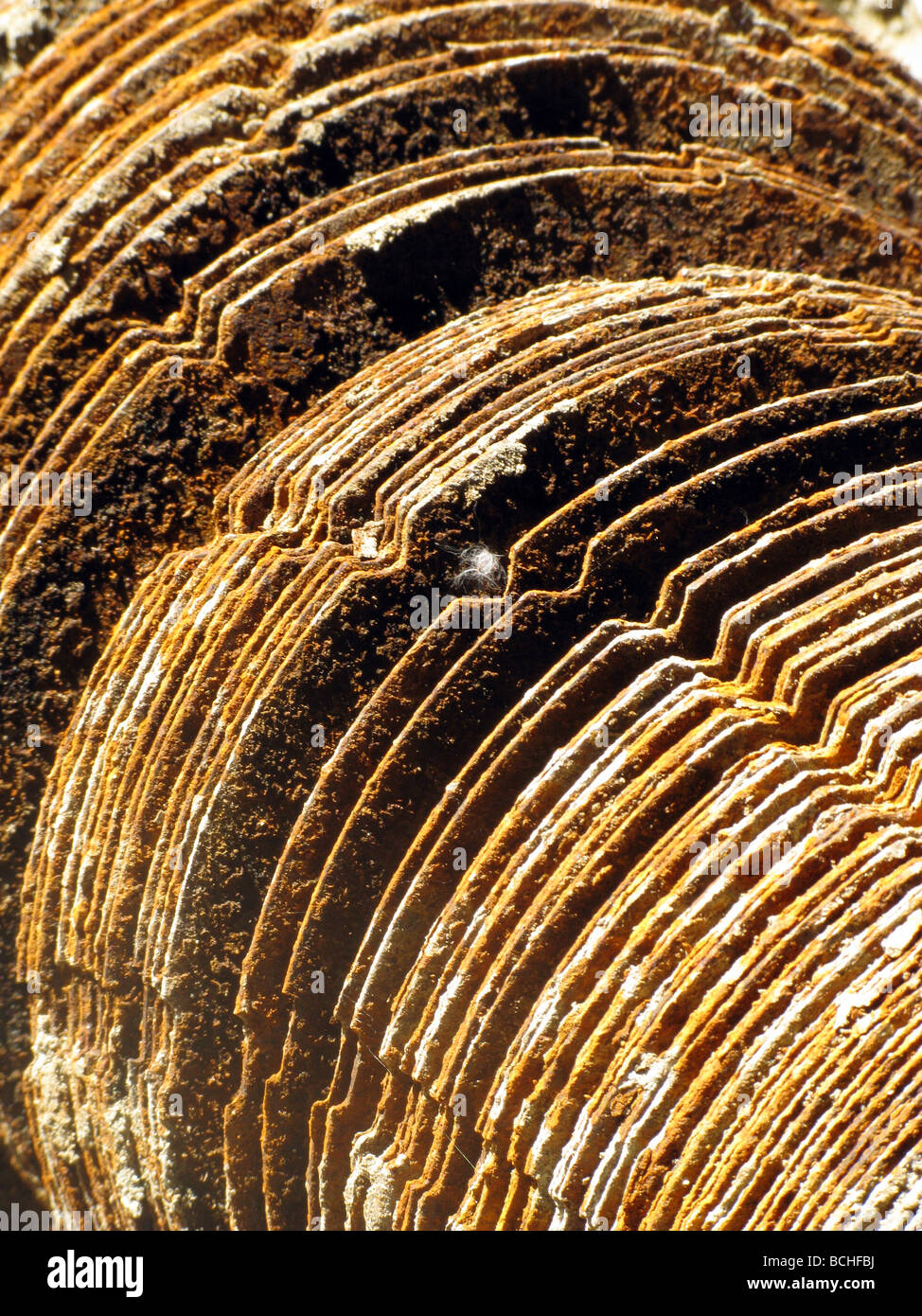 Dettaglio delle piastre arrugginite parti sulla vecchia macchina Foto Stock