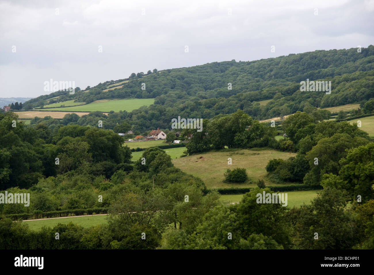 Campagna vicino a pozzetti England Regno Unito Foto Stock