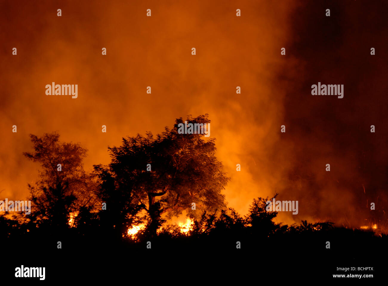 Africa Mali bush fire per ripulire la zona per l'agricoltura di notte Foto Stock