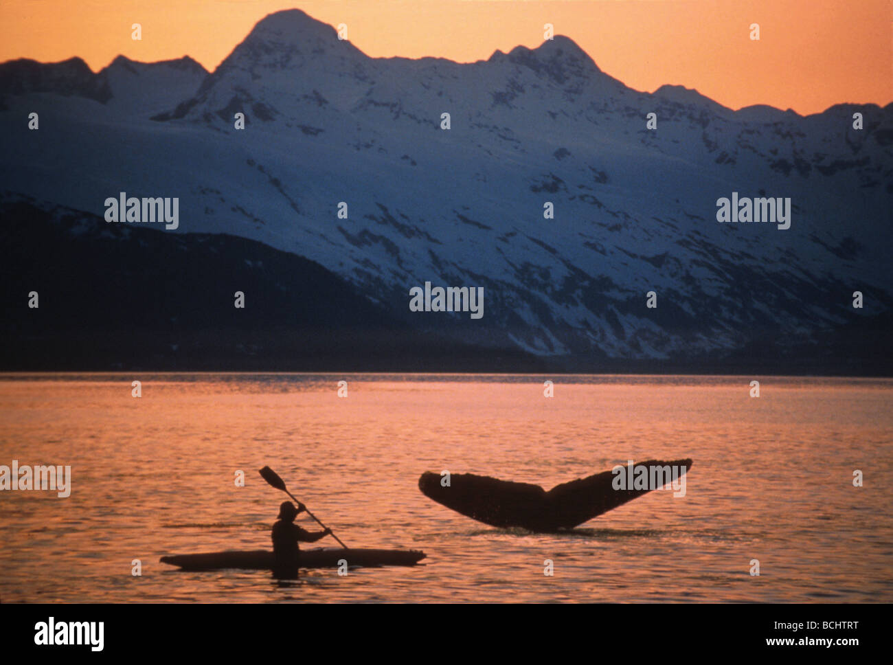 Humpback Whale Tail Kayaker PWS SC AK composito di estate Foto Stock