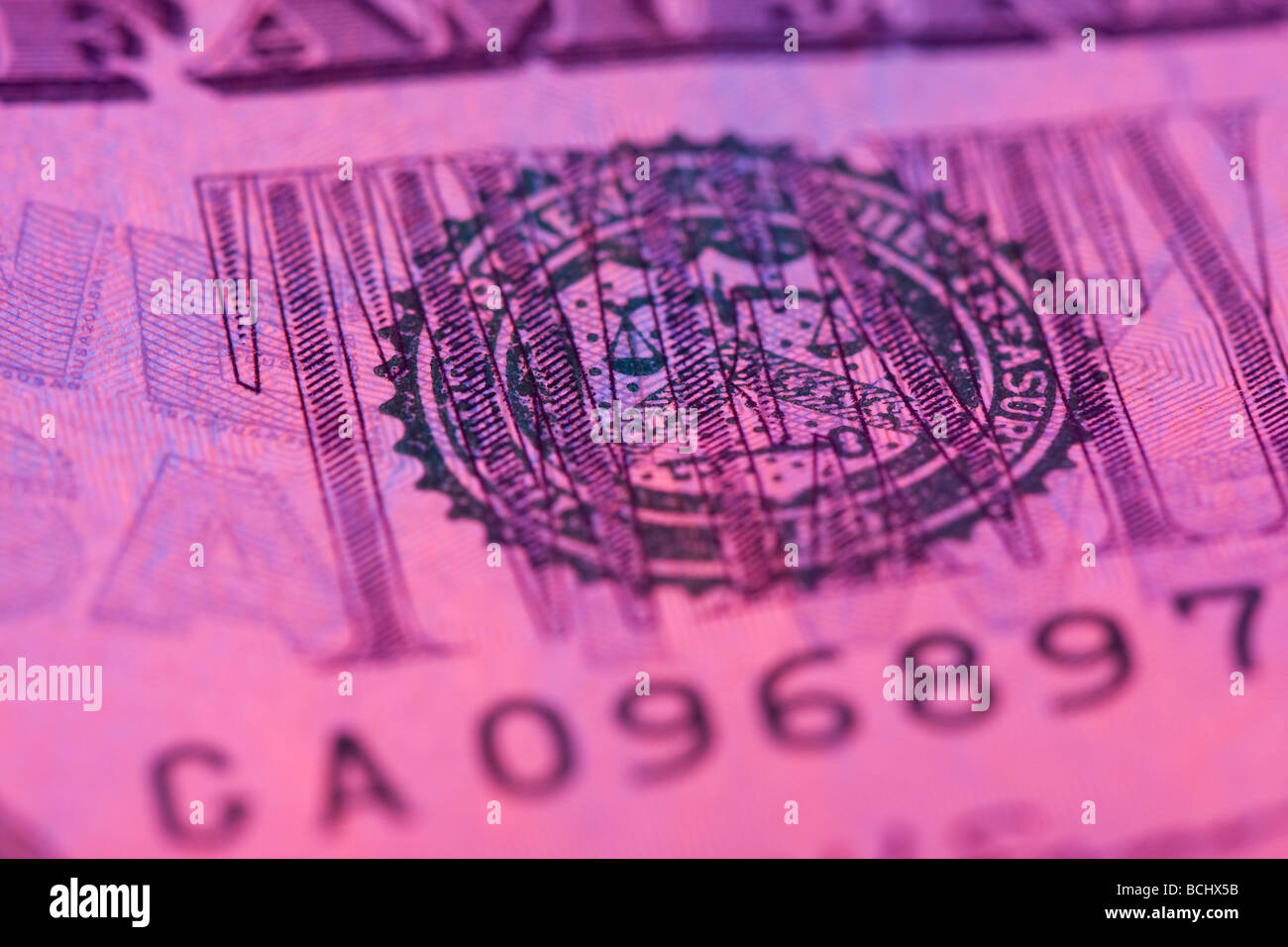 Macro venti dollari con tinta di rosa Foto Stock