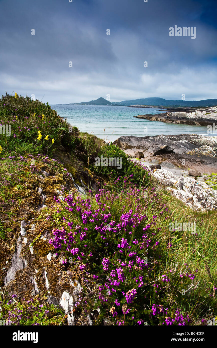 Spiaggia Vicino Kileen Ring of Kerry County Kerry Irlanda Foto Stock