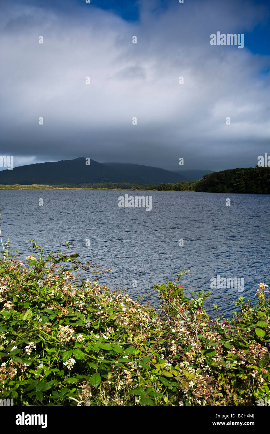 Affacciato sulla Kenmare estuario del fiume da thr penisola di Beara Contea di Kerry Irlanda Foto Stock