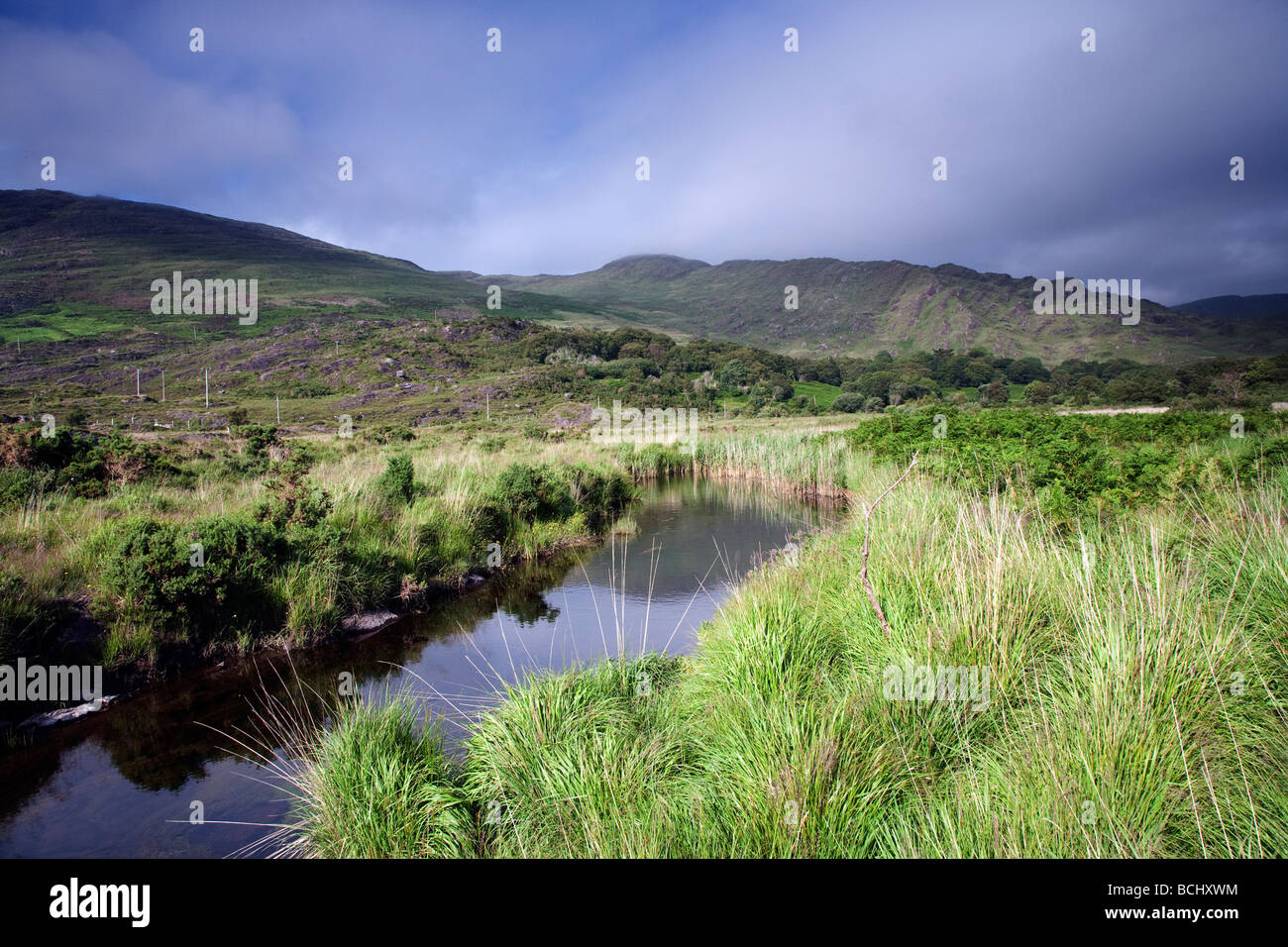 Cloonee Loughs vicino a Kenmare County Kerry sud ovest Irlanda Foto Stock