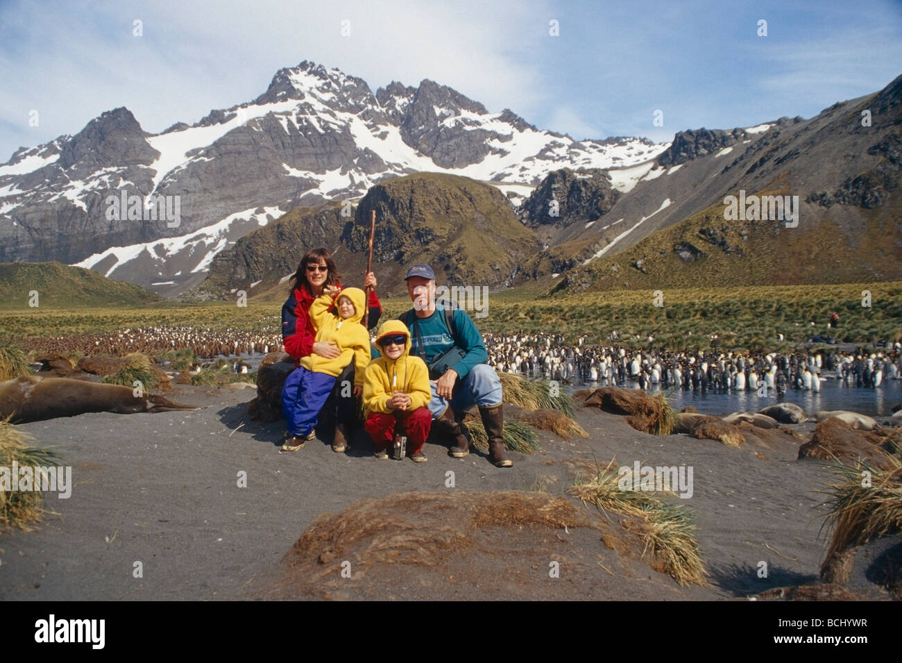 Vacanza per la famiglia ritratto oro @ Porto S.Georgia Antartico è tra le guarnizioni di Elephant & King colonia di pinguini Foto Stock