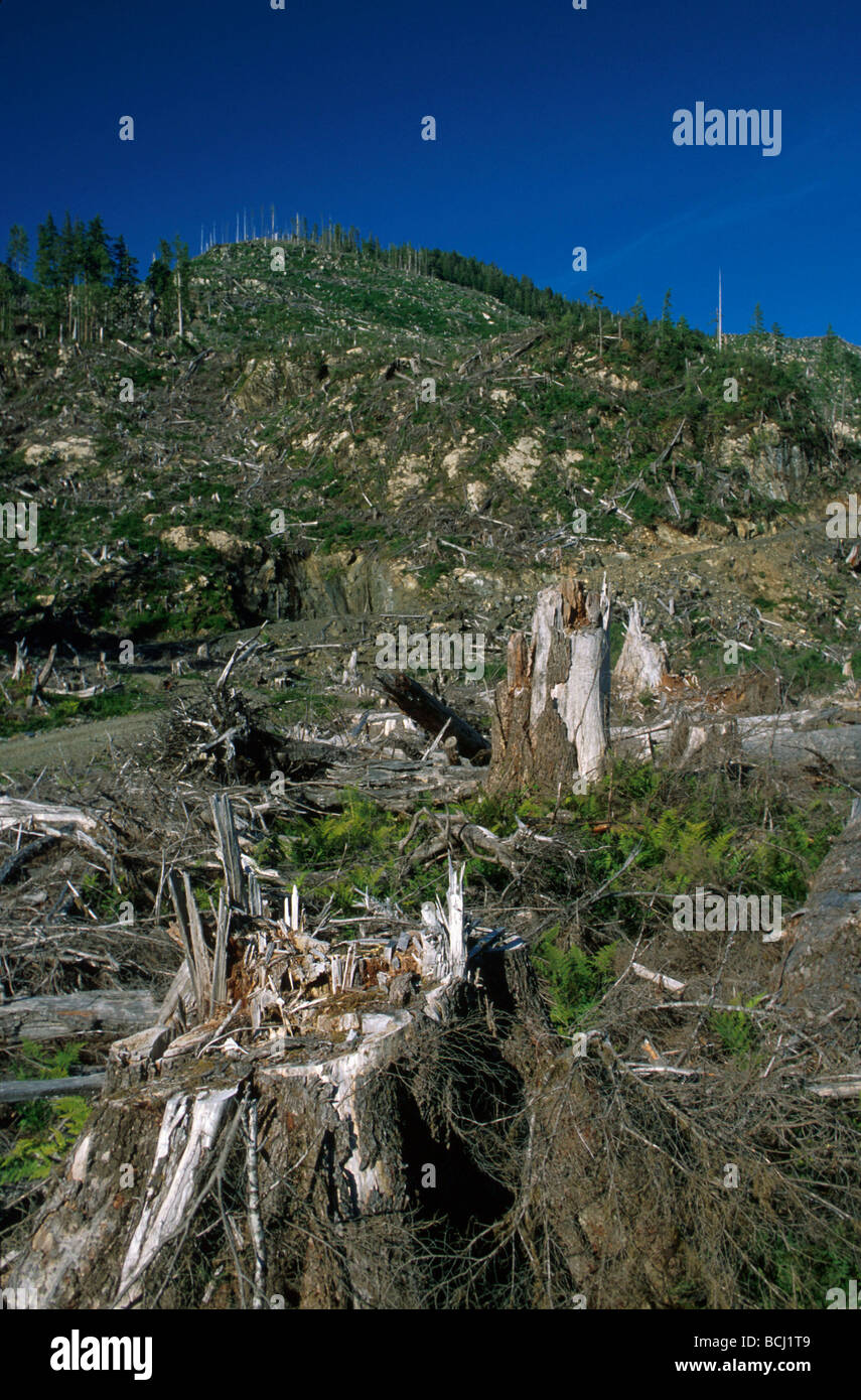 AK Sudest taglio chiaro Logging Tongass Natl Forest Principe di Galles Isola Estate Scenic Foto Stock