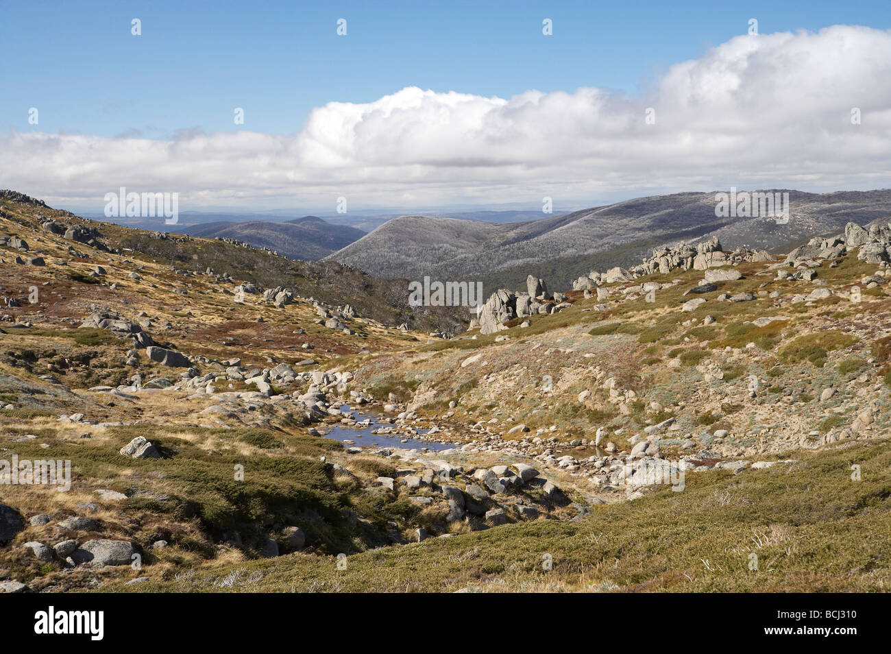 Ruscello di montagna Rams gamma di testa Kosciuszko Parco Nazionale montagne innevate del Nuovo Galles del Sud Australia Foto Stock