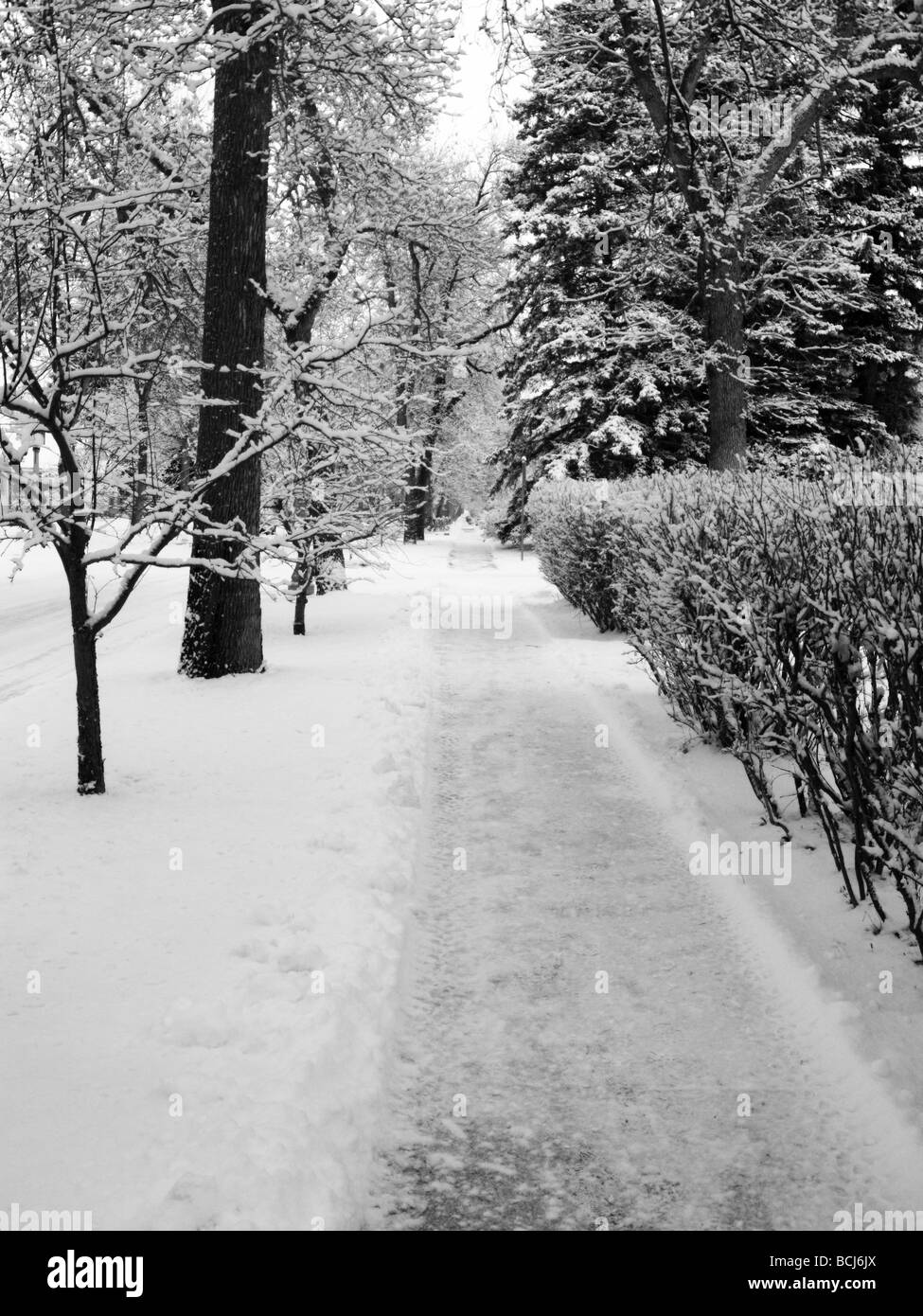 Viale alberato e snowcovered marciapiede scenic durante l'inverno a Bozeman, Montana Foto Stock