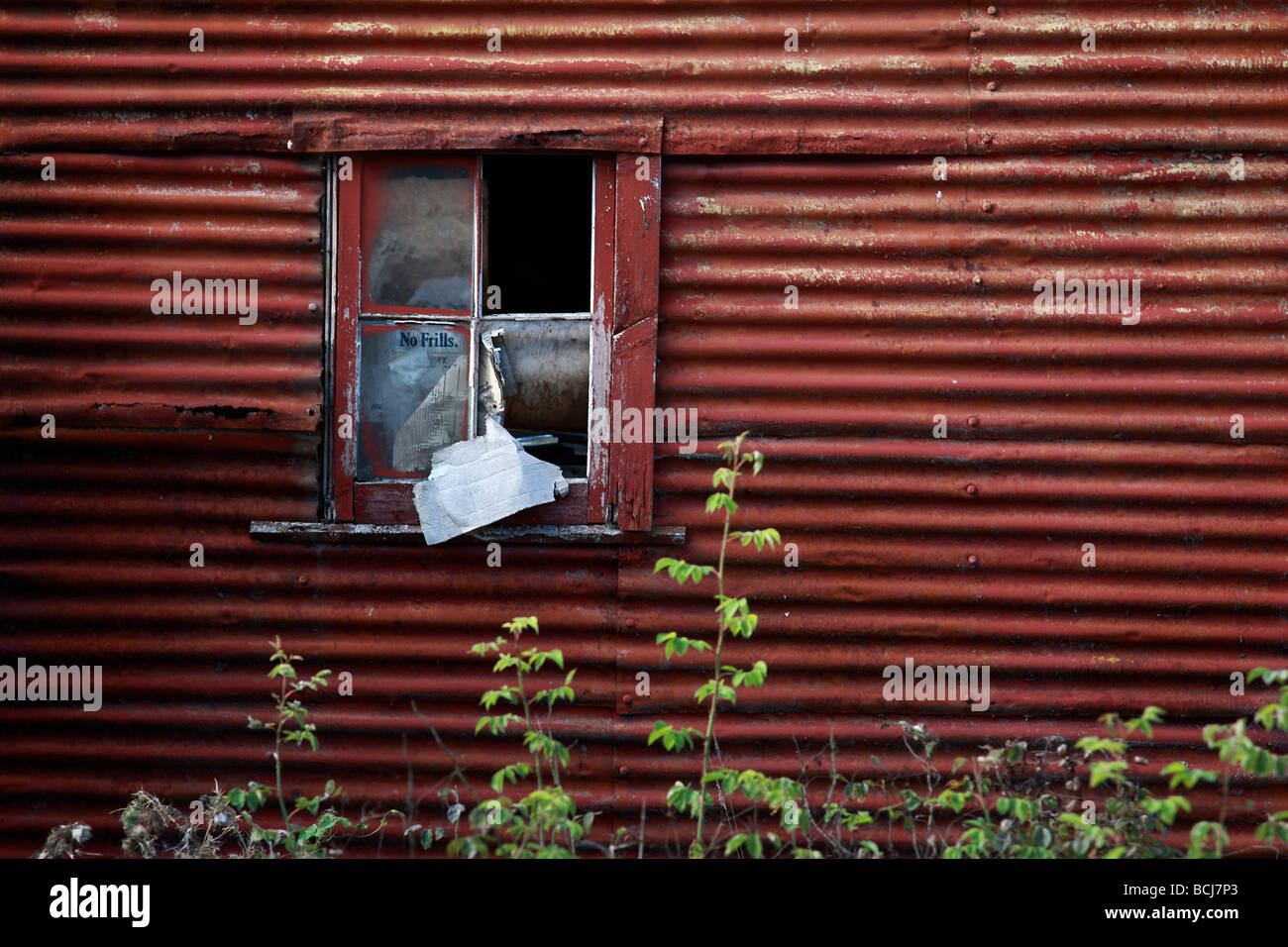 Vecchio ferro corrugato edificio con vetro rotto, Nuova Zelanda Foto Stock