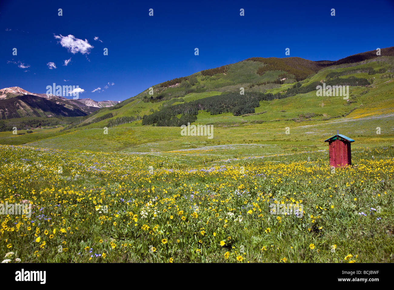 Red dipendenza vicino le scuderie dei cavalli a Mount Crested Butte Colorado USA Foto Stock