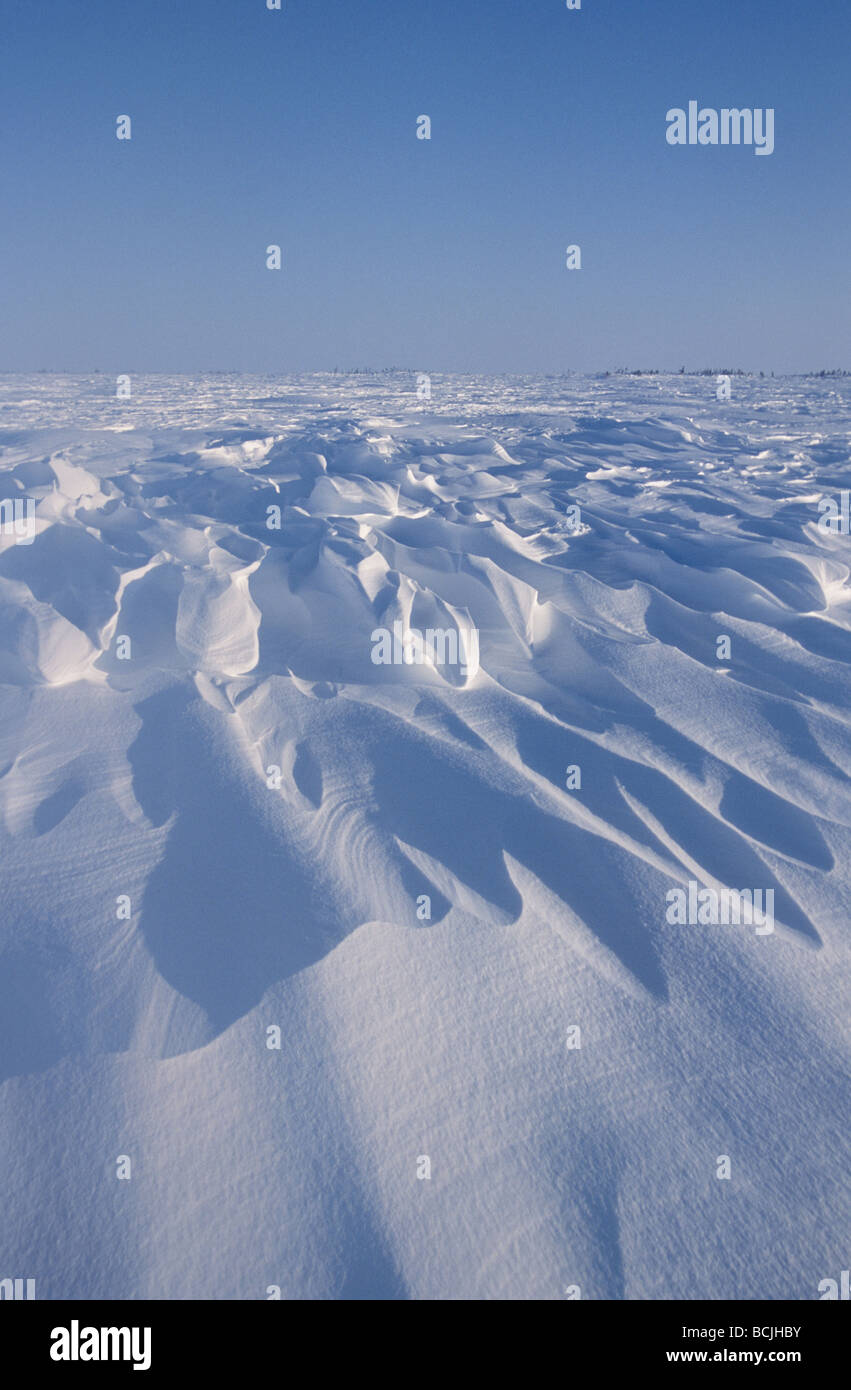 Soffiata dal vento paesaggio artico di Manitoba in Canada Foto Stock
