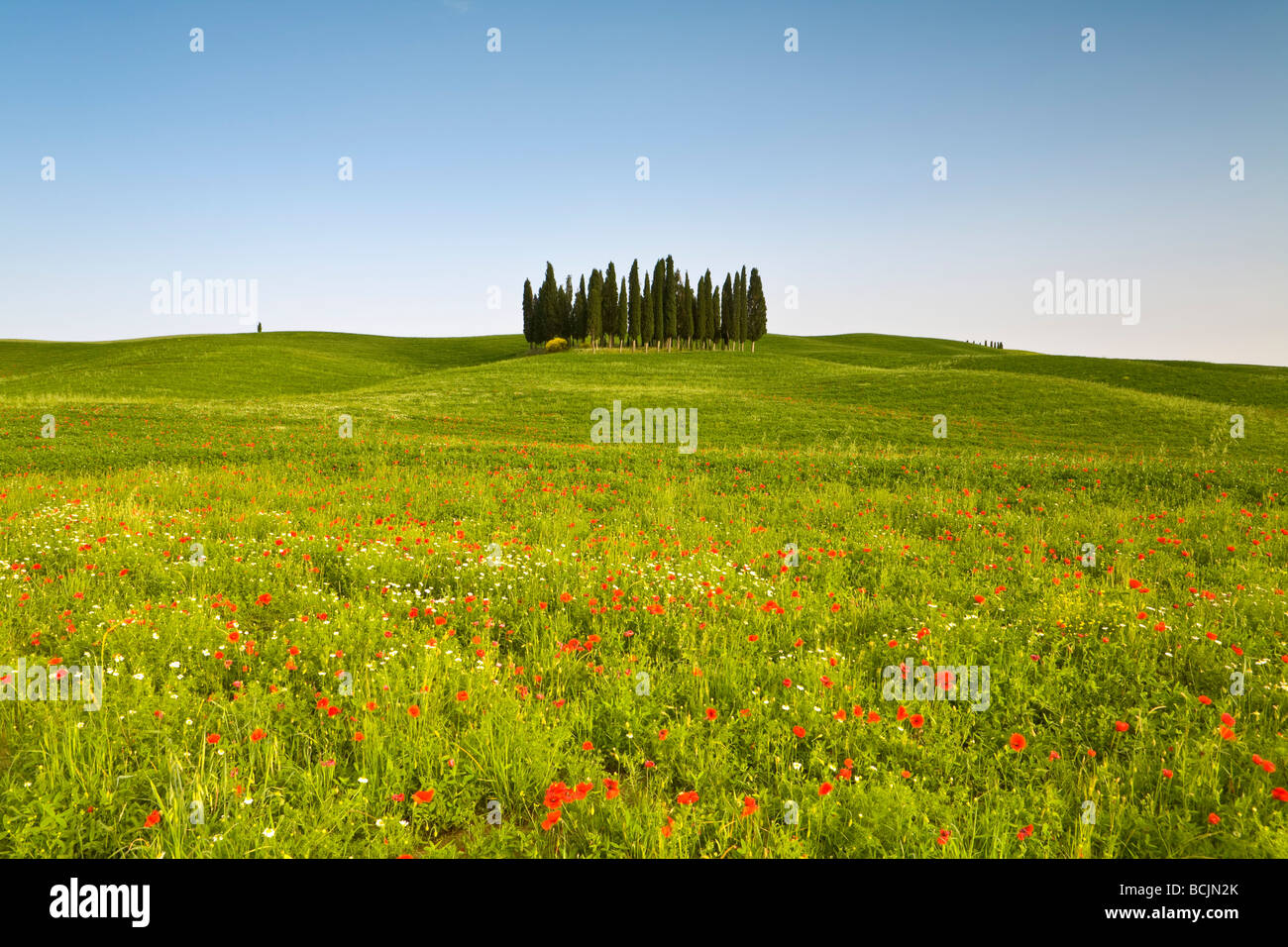 Il paesaggio toscano, Toscana, Italia, RF Foto Stock