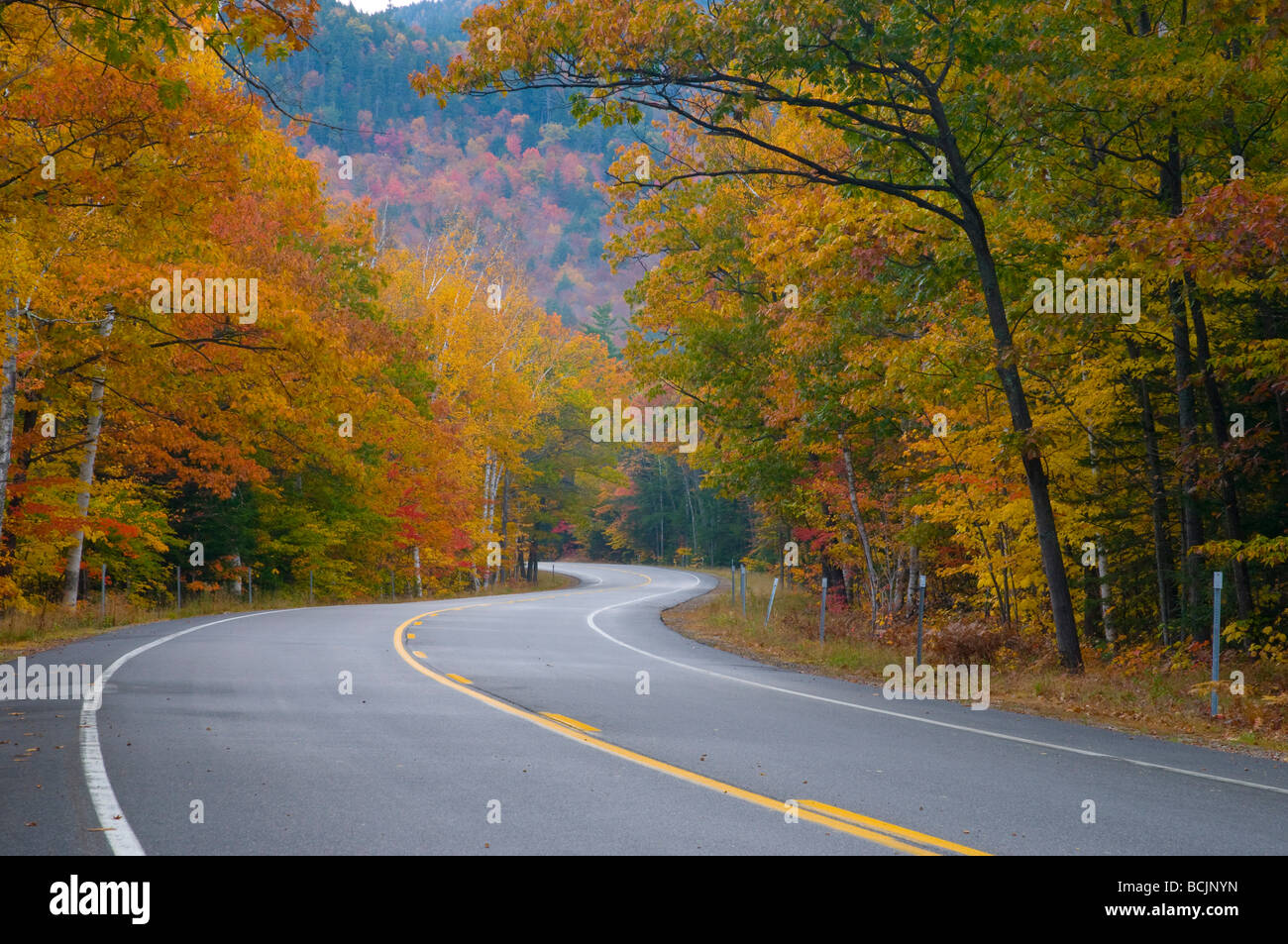 Stati Uniti d'America, New Hampshire, White Mountain National Park, Kankamagus autostrada Foto Stock