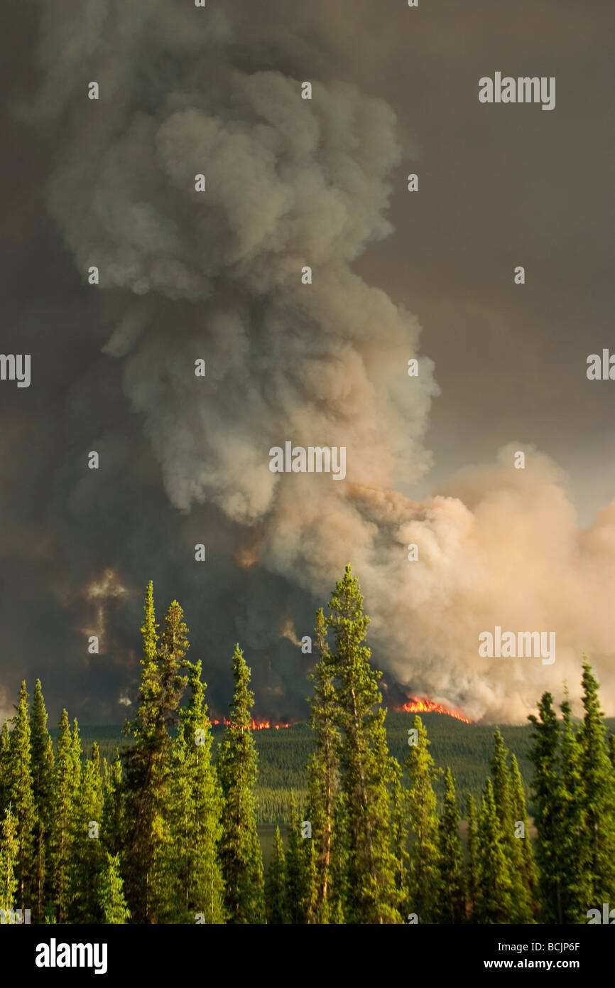 Incendio di foresta lungo AK Hwy Yukon Territory Canada estate nei pressi di Teslin Foto Stock