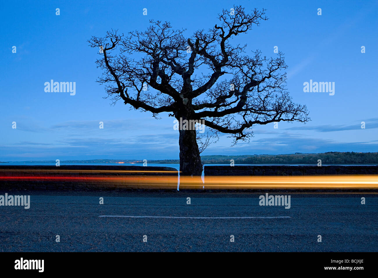 Strada e albero vicino a Tarbert Foto Stock