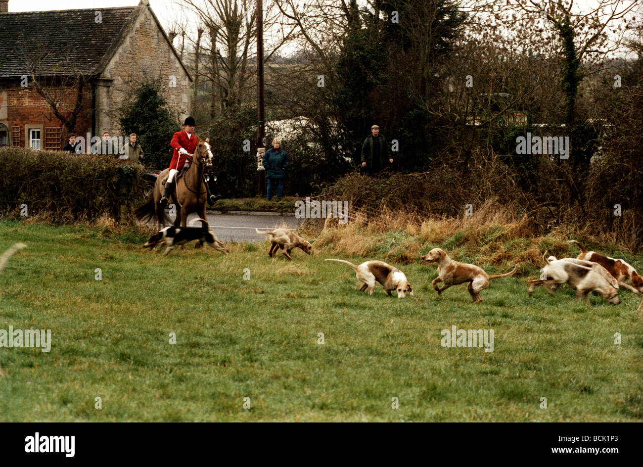 Un membro dell'Avon vale la caccia a cavallo con il pack di hounds Avon Vale Hunt Wiltshire 2005 Foto Stock