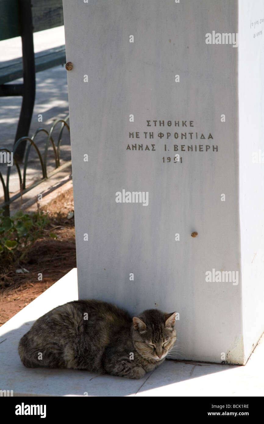 Gatto addormentato su una tomba ad Atene il primo cimitero, Atene, Grecia Foto Stock