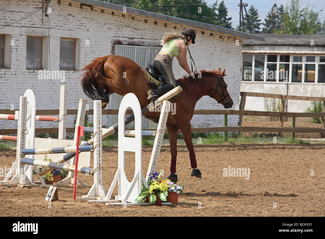 Una donna e il suo cavallo abbattere un salto all'aperto, in una scuola di equitazione. Foto Stock