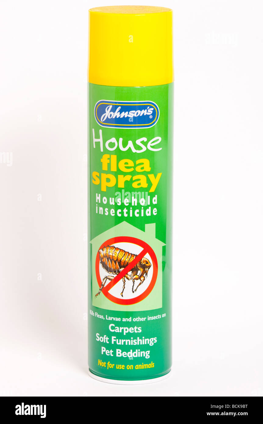 Una chiusura di un possibile di Johnsons house flea spray insetticida contro uno sfondo bianco Foto Stock