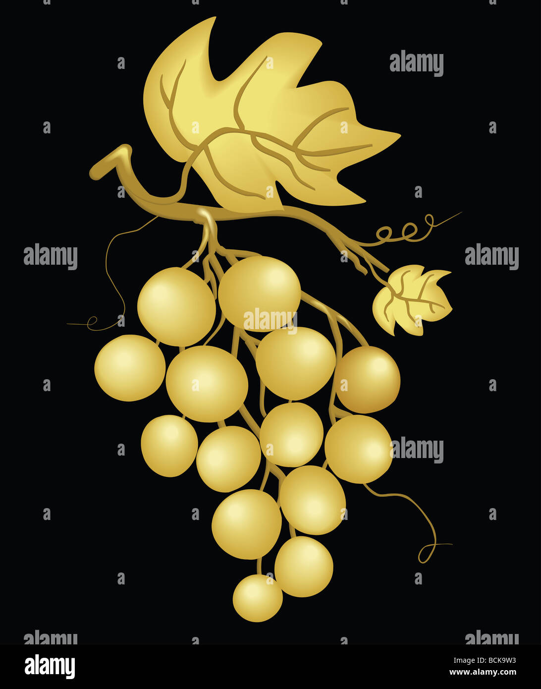 Uve. Foto Stock