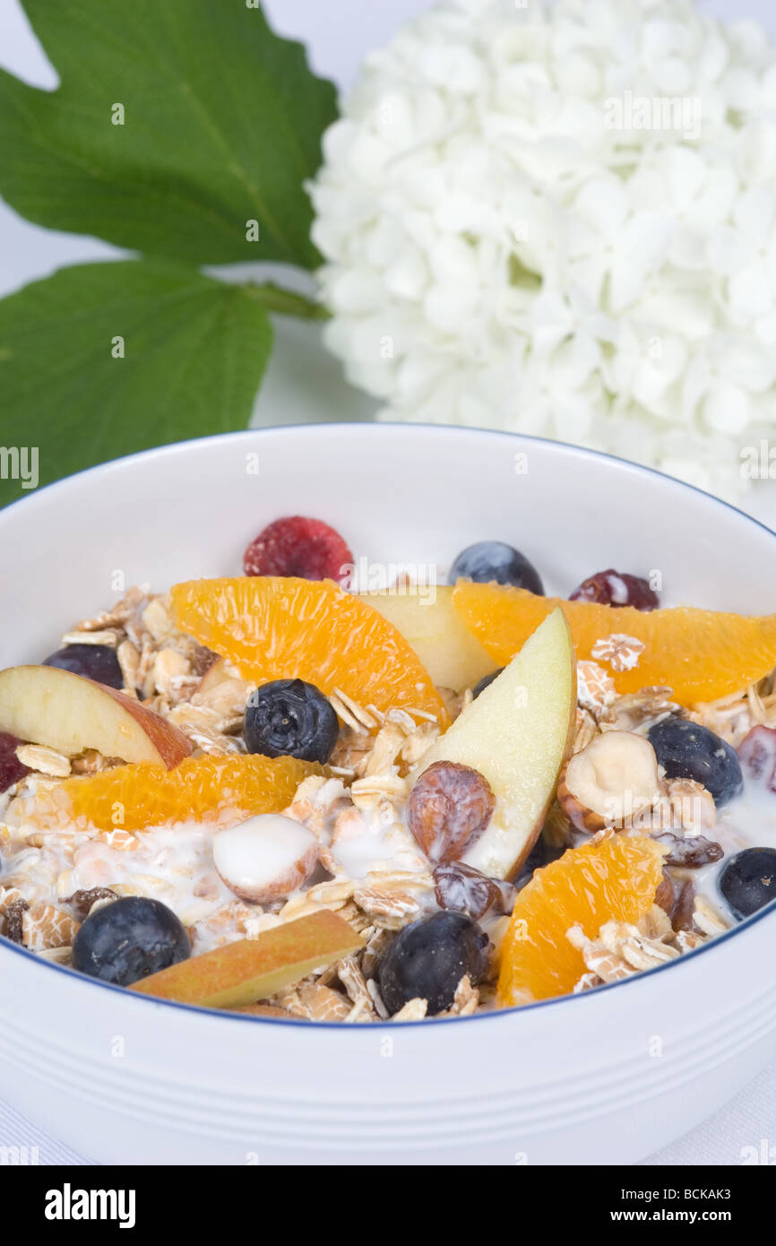 mirtillo müsli Foto Stock