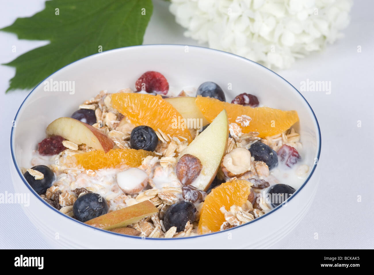 müsli dado Foto Stock