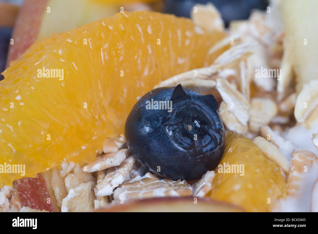 Mirtillo nelle vicinanze Foto Stock