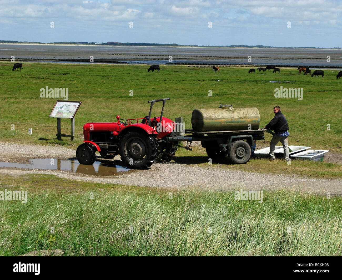 Il contadino riempie acqua trogoli sull isola di Amrum Germania Foto Stock