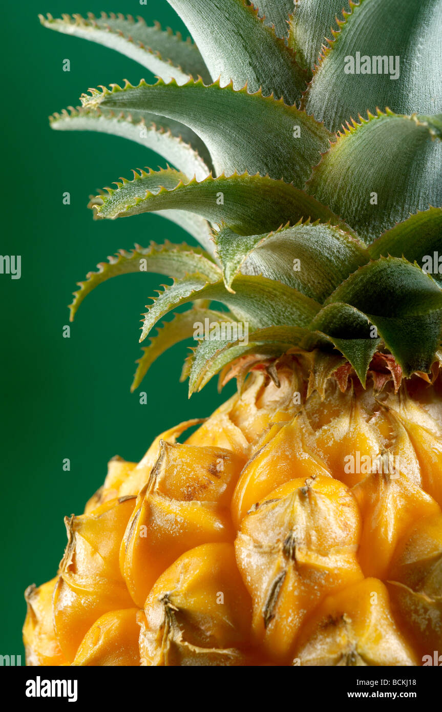Ananas su sfondo verde Foto Stock