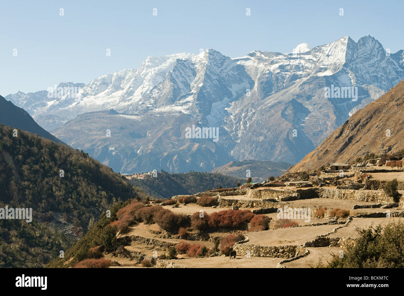 L'Himalayan mountain village Foto Stock