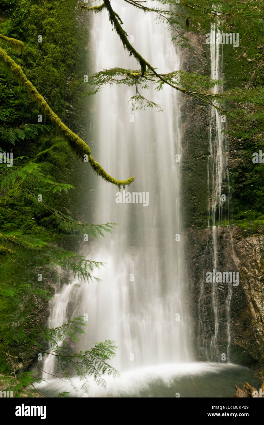 Marymere Falls, il Parco Nazionale di Olympic Washington Foto Stock