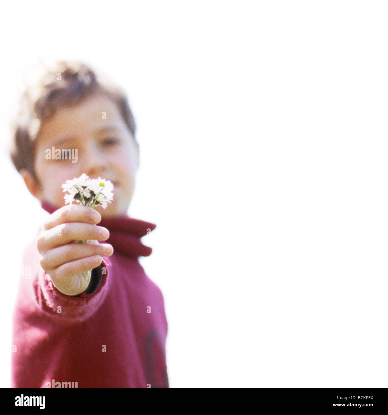 Bambino tenendo fuori i fiori Foto Stock