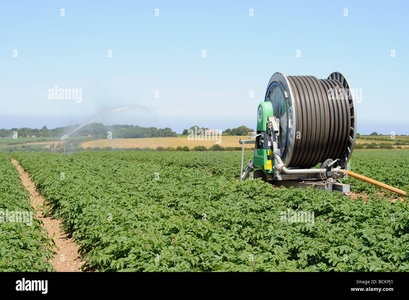 Commerciale di irrigazione di patata che mostra bobina di tubo e di irrigatore NORFOLK REGNO UNITO Giugno Foto Stock
